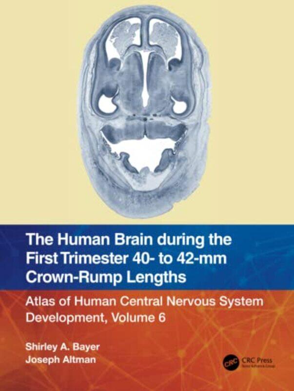 

Human Brain During The First Trimester 40 To 42Mm Crownrump Lengths By Shirley A Bayer - Paperback