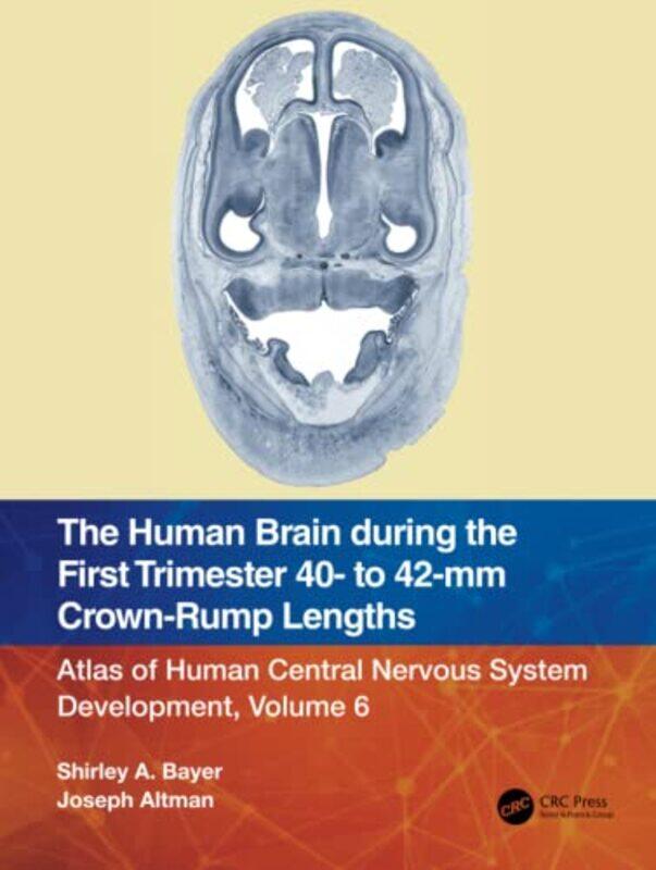 Human Brain During The First Trimester 40 To 42Mm Crownrump Lengths By Shirley A Bayer - Paperback