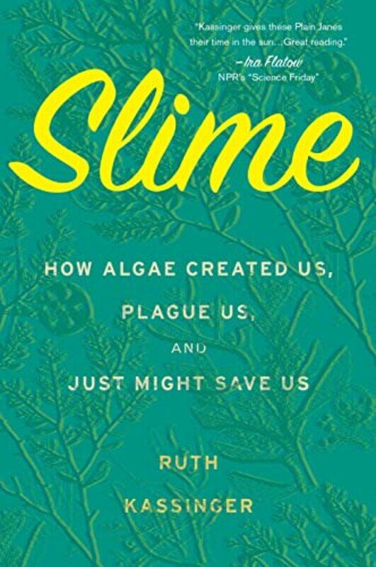 

Slime By Kassinger Ruth - Paperback