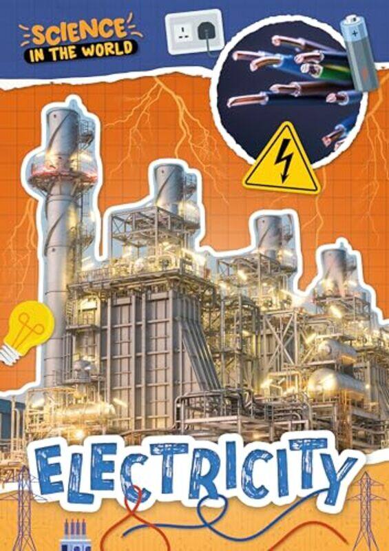 

Electricity by Margaret ThorsborneDavid Vinegrad-Paperback