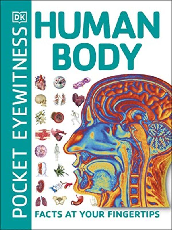 

Pocket Eyewitness Human Body by DK-Paperback