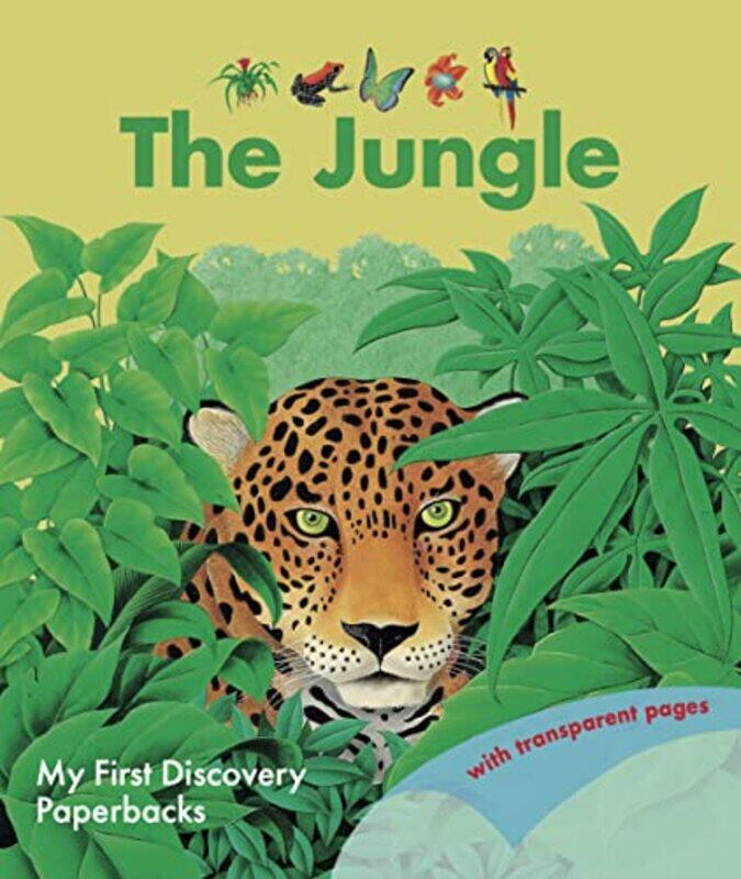 

The Jungle by Rene MettlerRene Mettler-Paperback