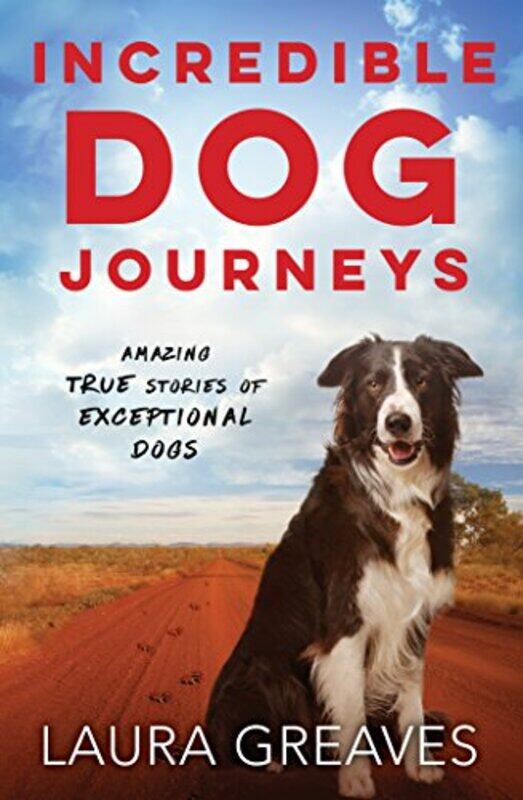 

Incredible Dog Journeys by John FosterSimon Foster-Hardcover