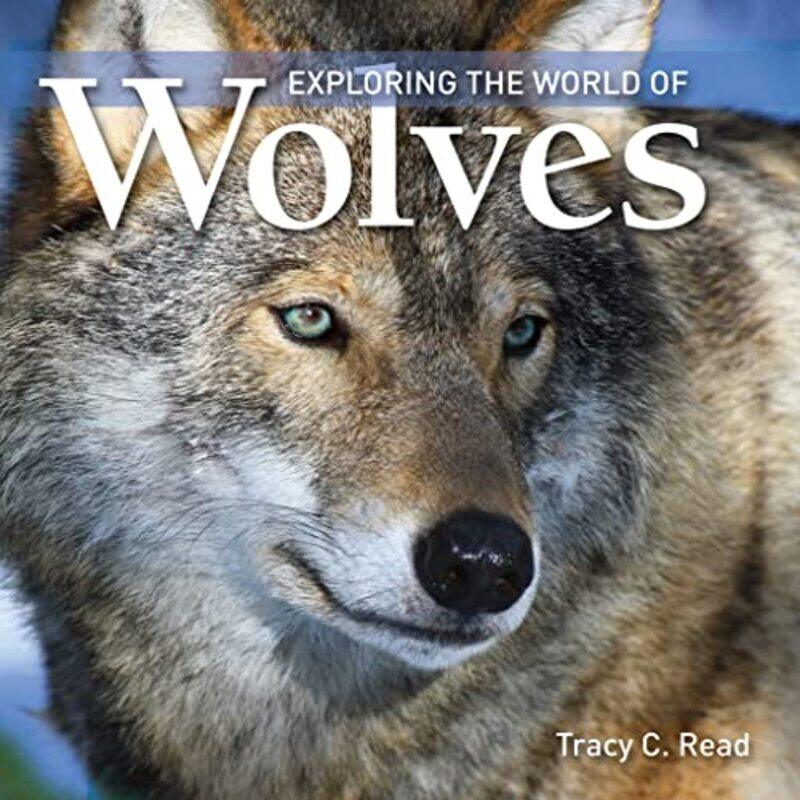 

Exploring the World of Wolves by Sudhir K AIIMS India Gupta-Paperback