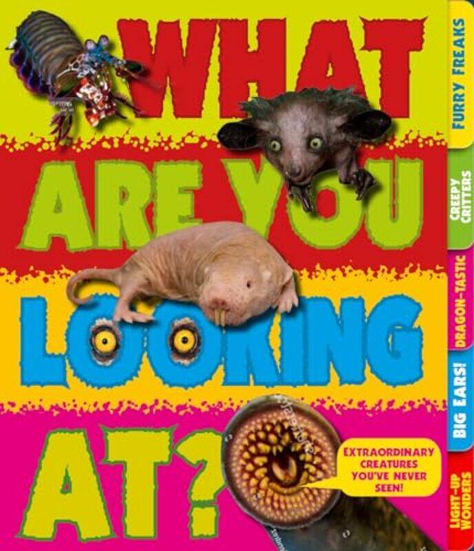 

What Are You Looking At by Sam Ita-Paperback