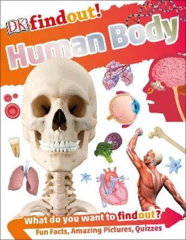

DKfindout! Human Body,Paperback, By:DK