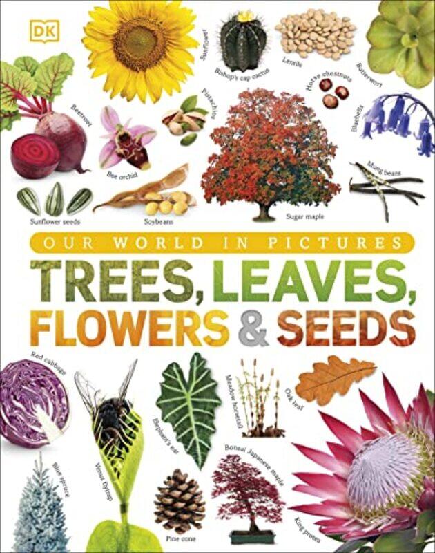 

Our World in Pictures Trees Leaves Flowers and Seeds by DK-Hardcover