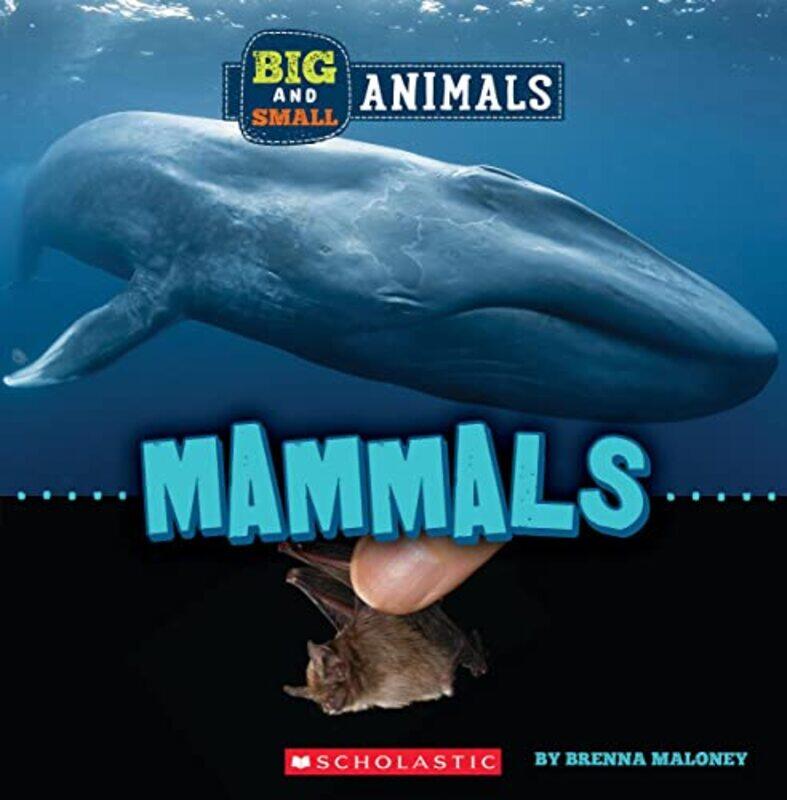 

Big And Small: Mammals (Wild World),Paperback,by:Brenna Maloney