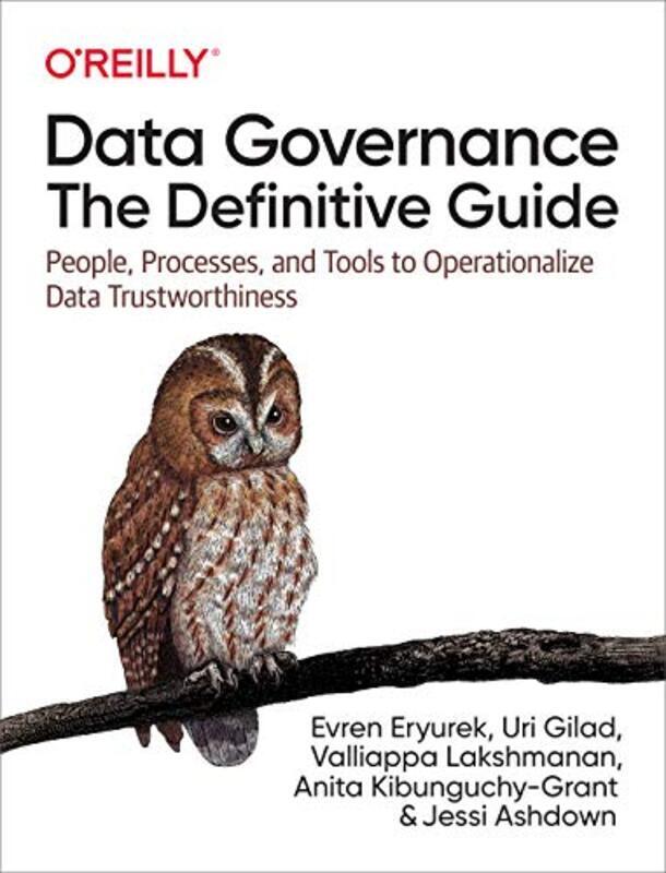 Data Governance The Definitive Guide People Processes And Tools To Operationalize Data Trustwort By Eryurek Evren Gilad Uri Lakshmanan Valliappa Kibunguchy Anita Ashdown Jessi Paperback