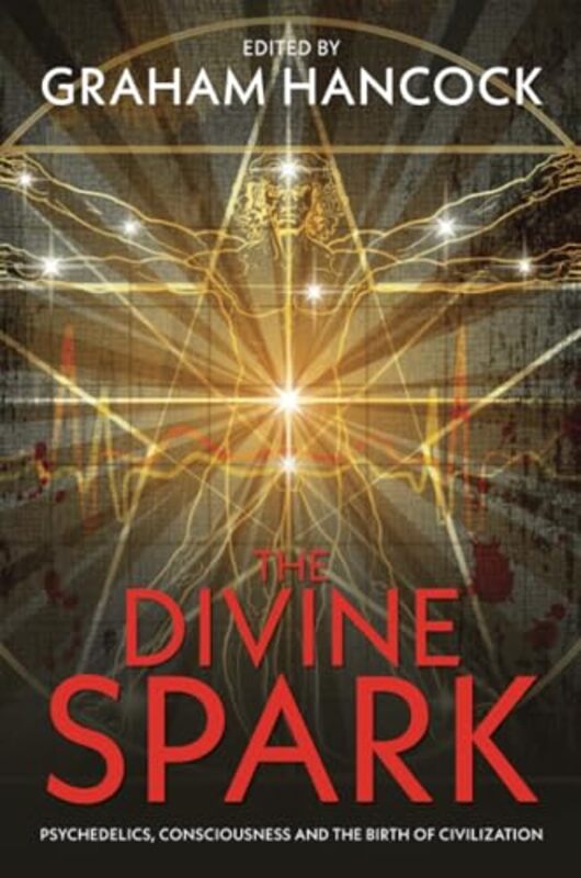 

The Divine Spark by Violet Brand-Paperback