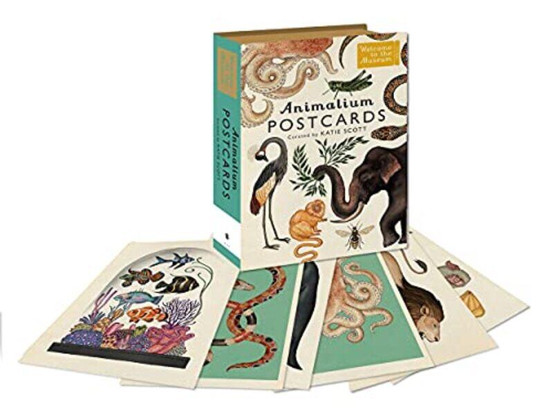 

Animalium Postcards,Paperback,by:Katie Scott