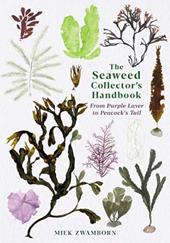 

The Seaweed Collectors Handbook by James Meyer-Paperback