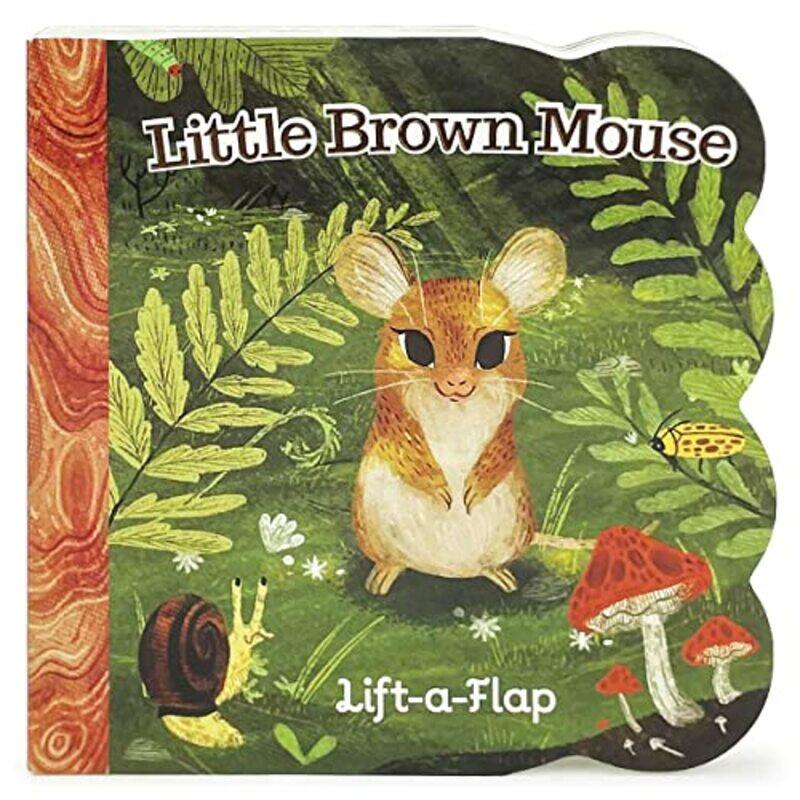 

Little Brown Mouse By Swift Ginger - Hardcover