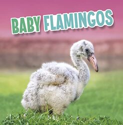 Baby Flamingos by Roland BirbalMichele TaylorNazreen MohammedMichelle Koon KoonCarissa Gookool-Hardcover