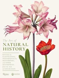 The Art Of Natural History Botanical Illustrations Ornithological Sketchbooks And Other Masterpie