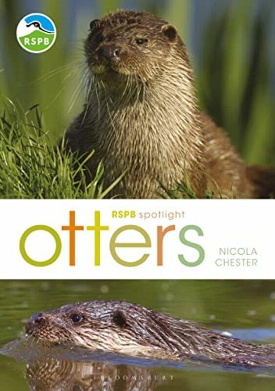 

RSPB Spotlight Otters by Beryl Matthews-Paperback