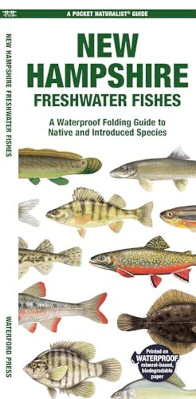 

New Hampshire Freshwater Fishes By Waterford - Paperback