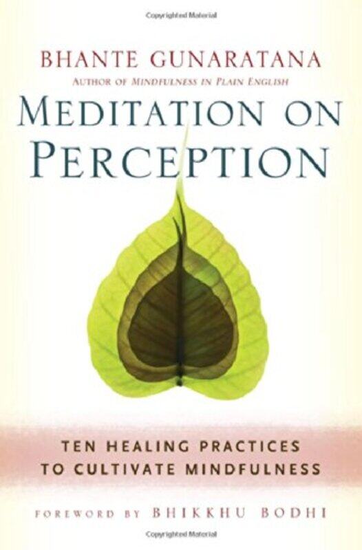 

Meditation on Perception by J William Worden-Paperback