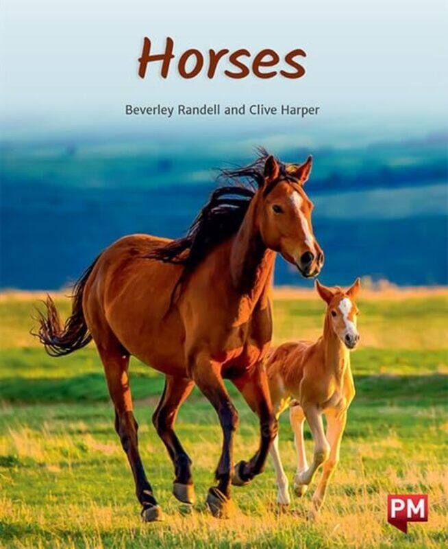 

HORSES by Paul FergusCarl Chalmers-Paperback