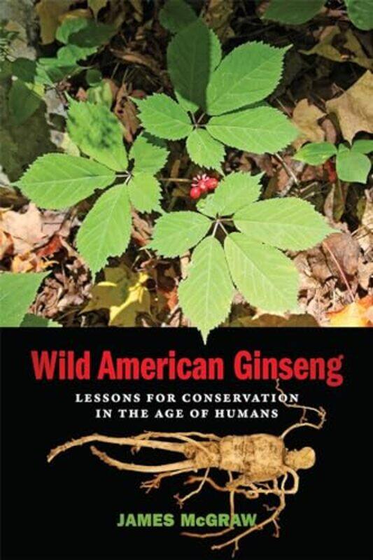 

Wild American Ginseng by James McGraw-Paperback