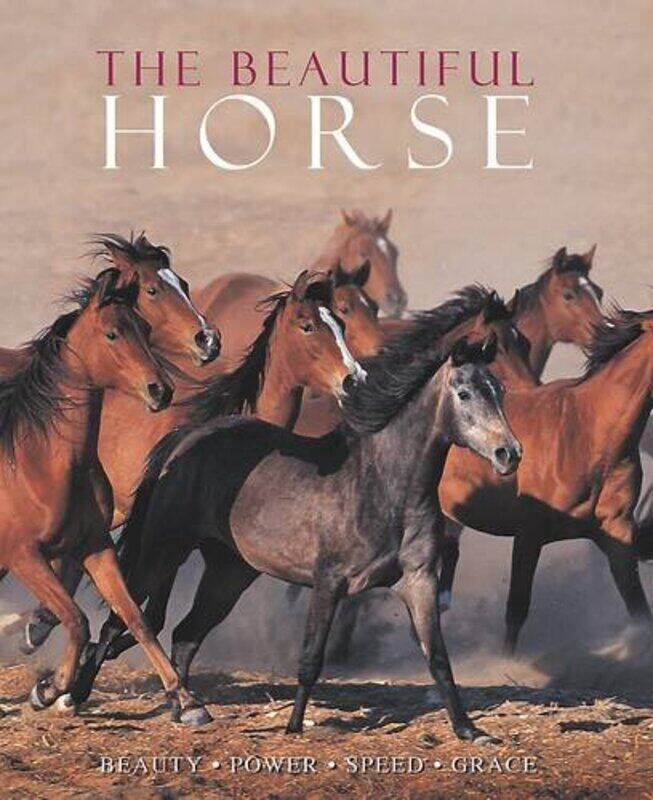 

The Beautiful Horse, Hardcover Book, By: Parragon Book Service Ltd