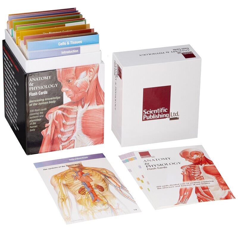 

Anatomy & Physiology Flash Cards, Board Book, By: Scientific Publishing
