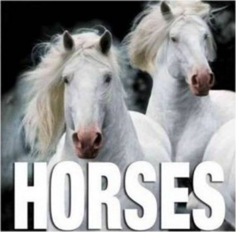 

Horses (Cube Books).Hardcover,By :Valeria Manferto