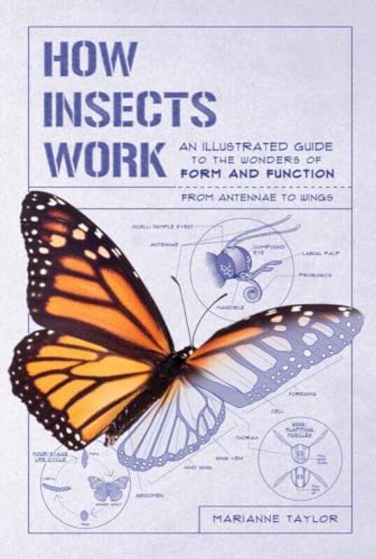 

How Insects Work By Taylor Marianne - Paperback