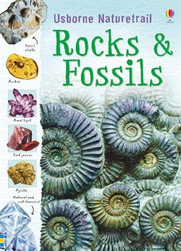 

Rocks and Fossils by Struan ReidBrin EdwardsNon TaylorIan Jackson-Paperback