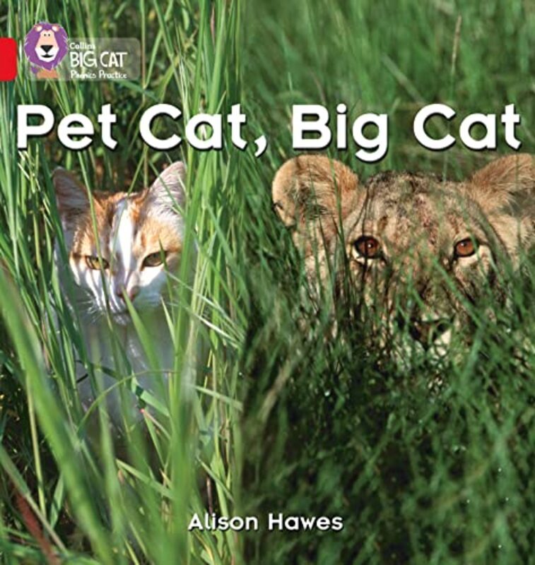 Pet Cat Big Cat Band 02Ared A Collins Big Cat Phonics by Hawes, Alison - Collins Big Cat -Paperback