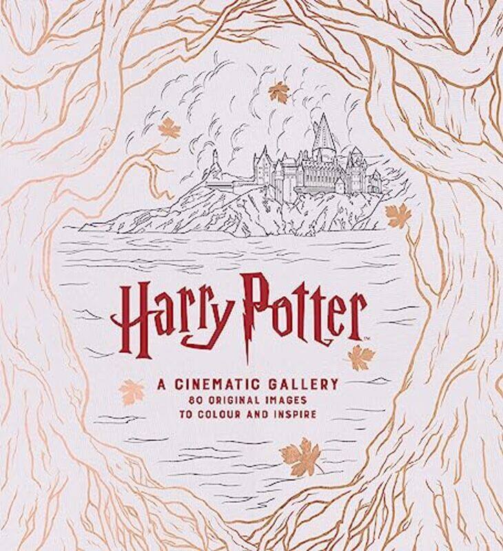

Harry Potter A Cinematic Gallery by J M Dragunas-Hardcover