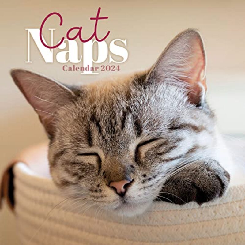 Cat Naps M / Carous by  Carousel Calendars Paperback