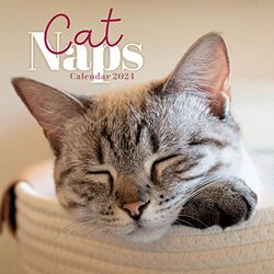 Cat Naps M / Carous by  Carousel Calendars Paperback