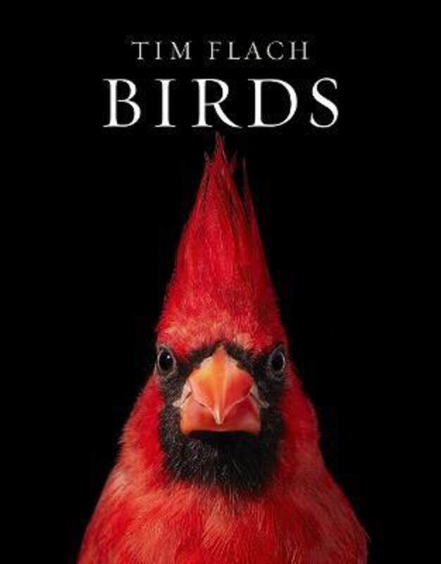 

Birds.Hardcover,By :Tim Flach