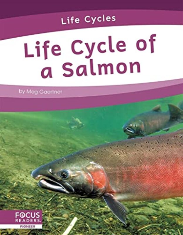 

Life Cycles Life Cycle of a Salmon by Meg Gaertner-Paperback