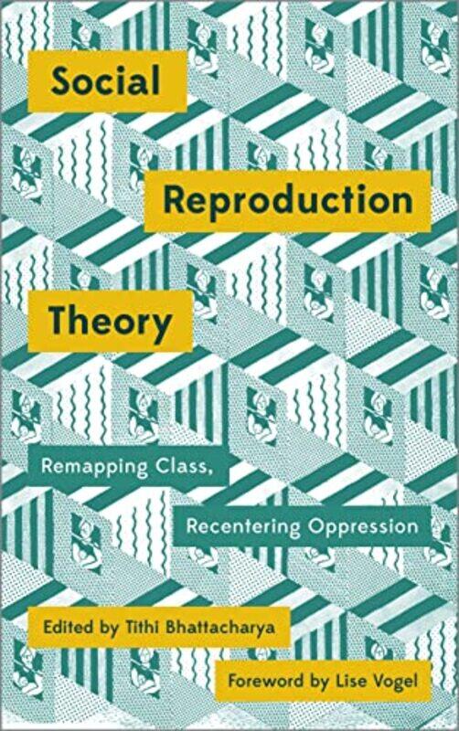 

Social Reproduction Theory by Tawnie Graham-Paperback