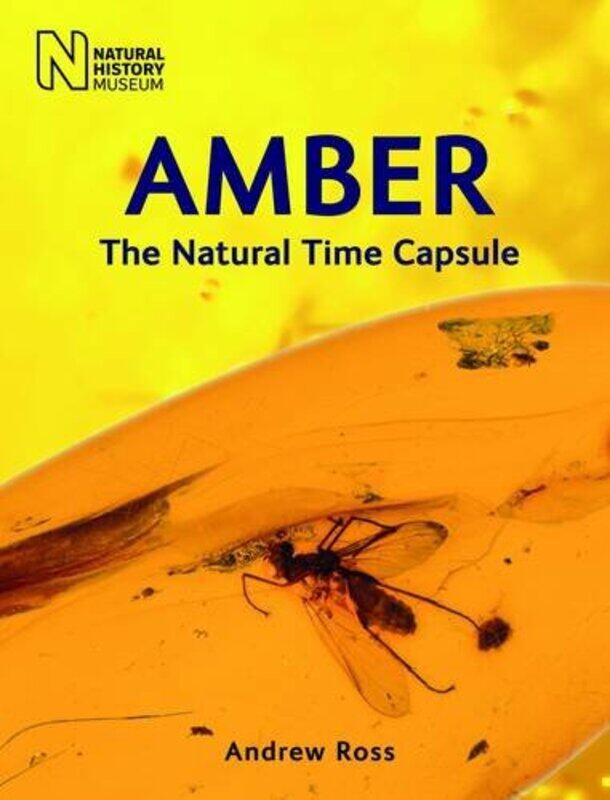 

Amber by Hasan Swansea University Uk HaboubiNafees West Midlands Deanery Uk AliAseel Wales Deanery Uk Al-ansari-Paperback