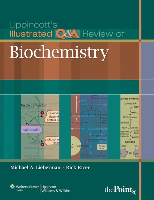 

Lippincotts Illustrated Qanda Review Of Biochemistry by Michael A, PhD LiebermanRick, MD Ricer-Paperback