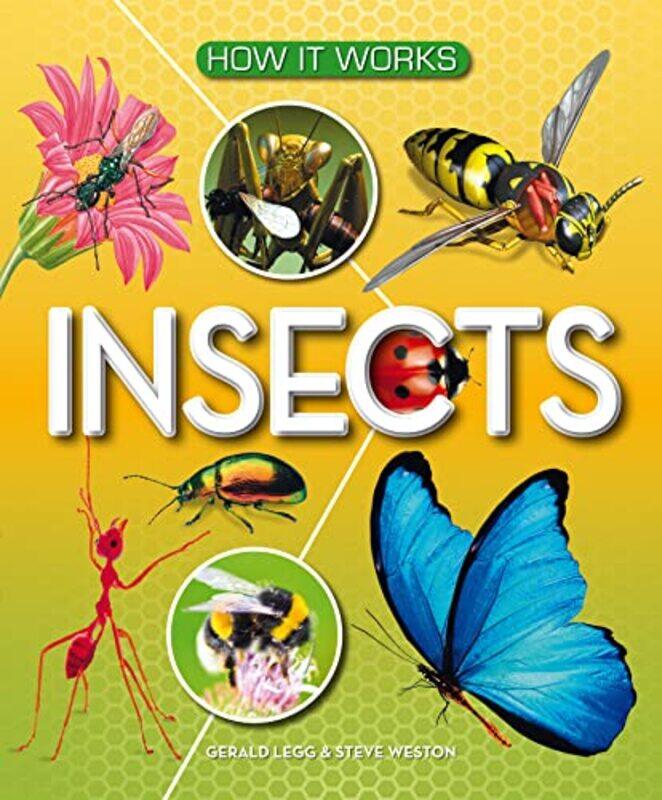 

How It Works Insects by Spasia Pandora Dinkovski-Hardcover