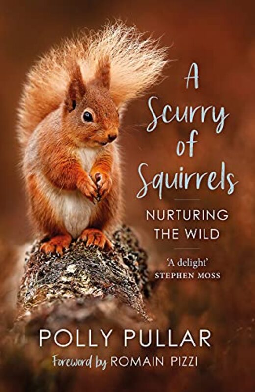 A Scurry of Squirrels by Heidi ZojerJohn KlapperRuth University of Birmingham UK WhittleWilliam J University of Manchester UK DoddChristine University of Oxford UK Eckhard-Black-Paperback