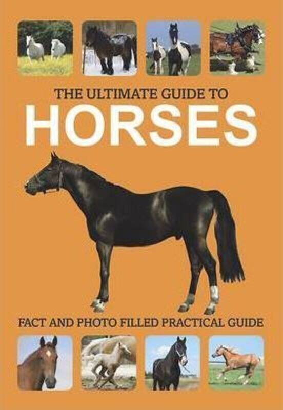 

The Ultimate Guide to Horses.paperback,By :