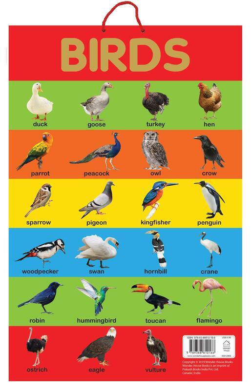 

Birds - Early Learning Educational Posters for Children: Perfect for Kindergarten, Nursery and Homes, Paperback Book, By: Wonder House Books