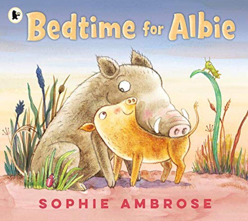 

BEDT Perfumeime for Albie by Sophie AmbroseSophie Ambrose-Paperback