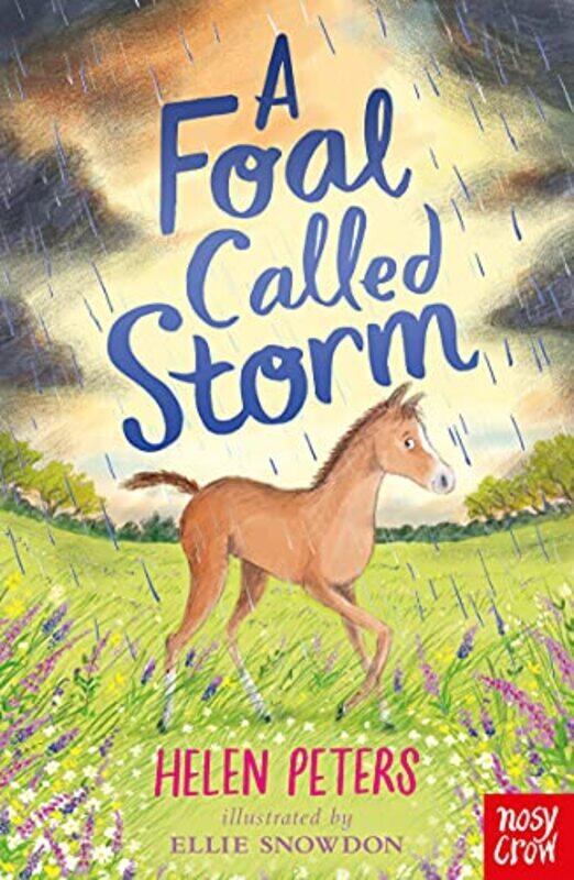 

A Foal Called Storm by Helen PetersEllie Snowdon-Paperback