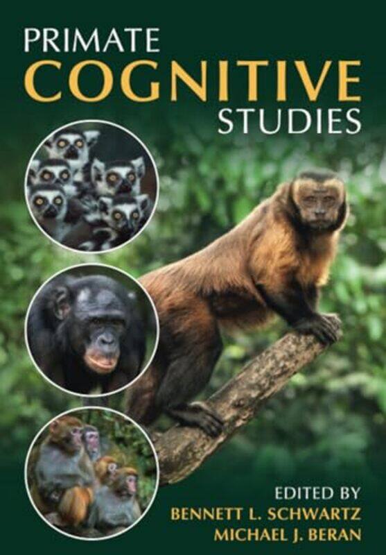 

Primate Cognitive Studies by Dana M Harris-Paperback