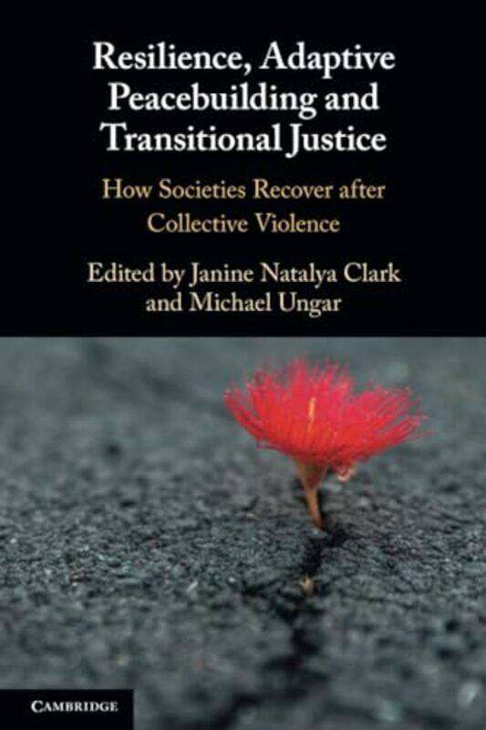 

Resilience Adaptive Peacebuilding and Transitional Justice by Philip Hubbard-Paperback