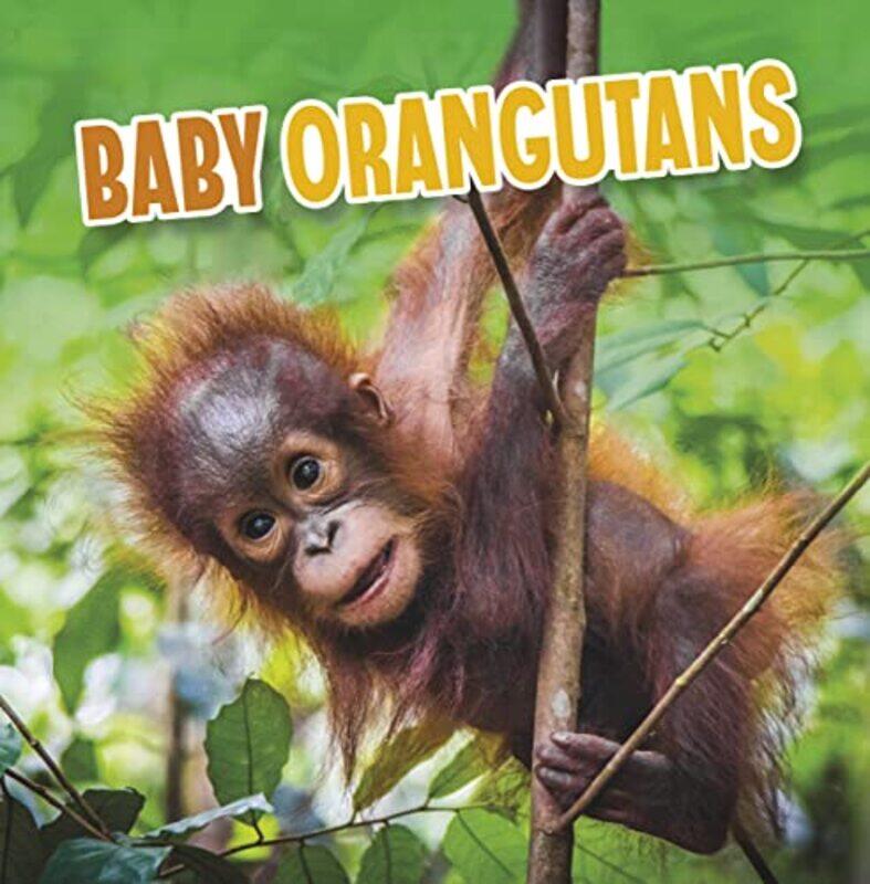 

Baby Orangutans by Bruce A Professor of Physics University of California Santa Cruz Schumm-Hardcover
