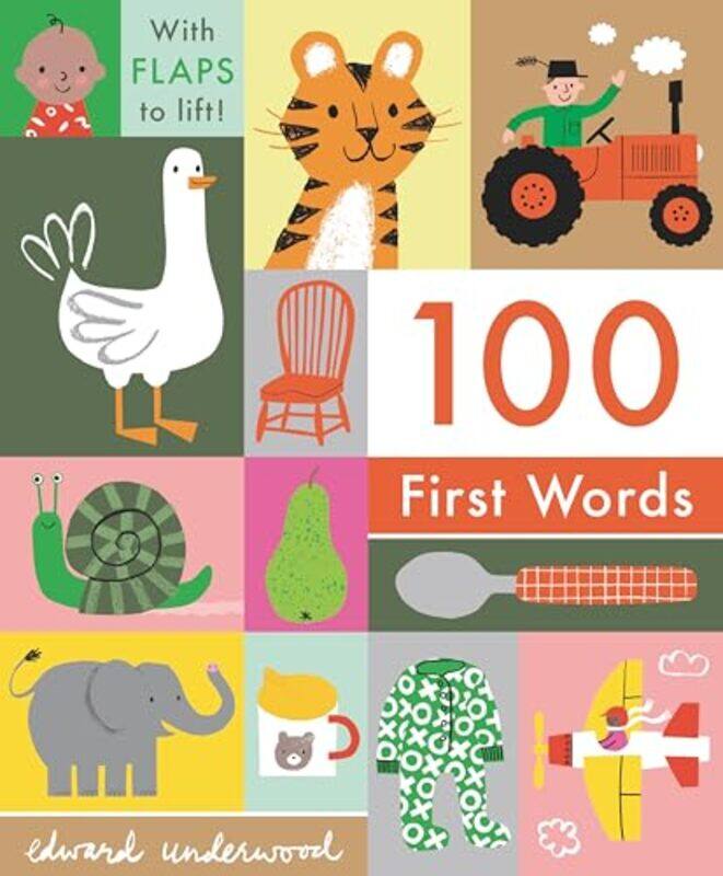 

100 First Words By Board - Hardcover