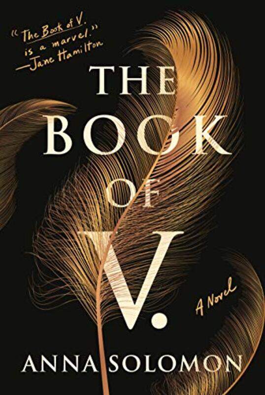 

The Book of V by Anna Solomon-Paperback