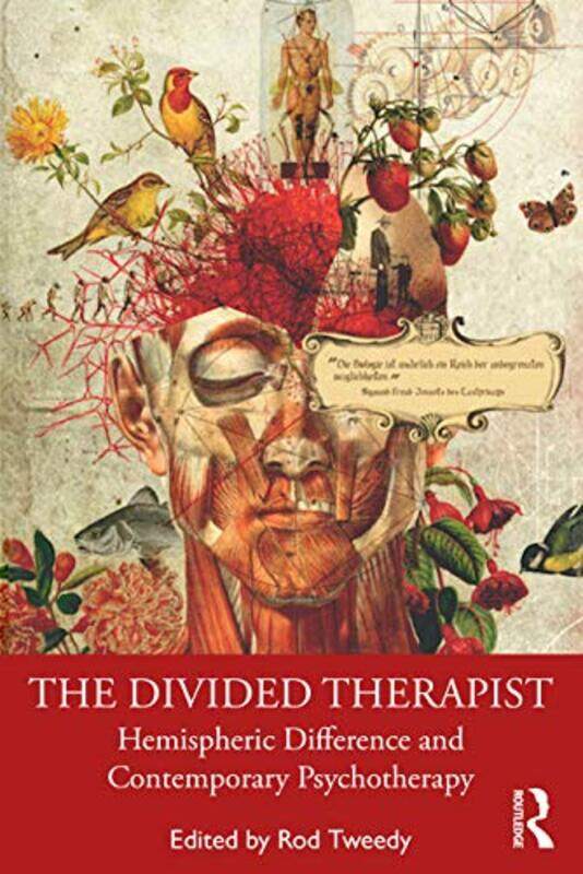 

The Divided Therapist by Rod Tweedy-Paperback